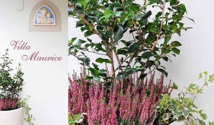 Residence Villa Maurice Stresa Dış mekan fotoğraf